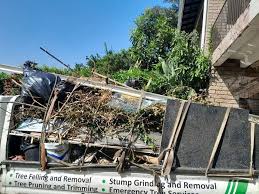 Best Basement Cleanout  in Oakleaf Plantation, FL